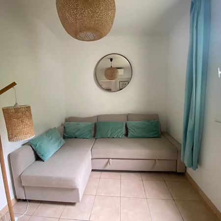 Appartement Les Cigales Rez De Jardin A 10Mn Des Plus Belles Plages Hyères Extérieur photo