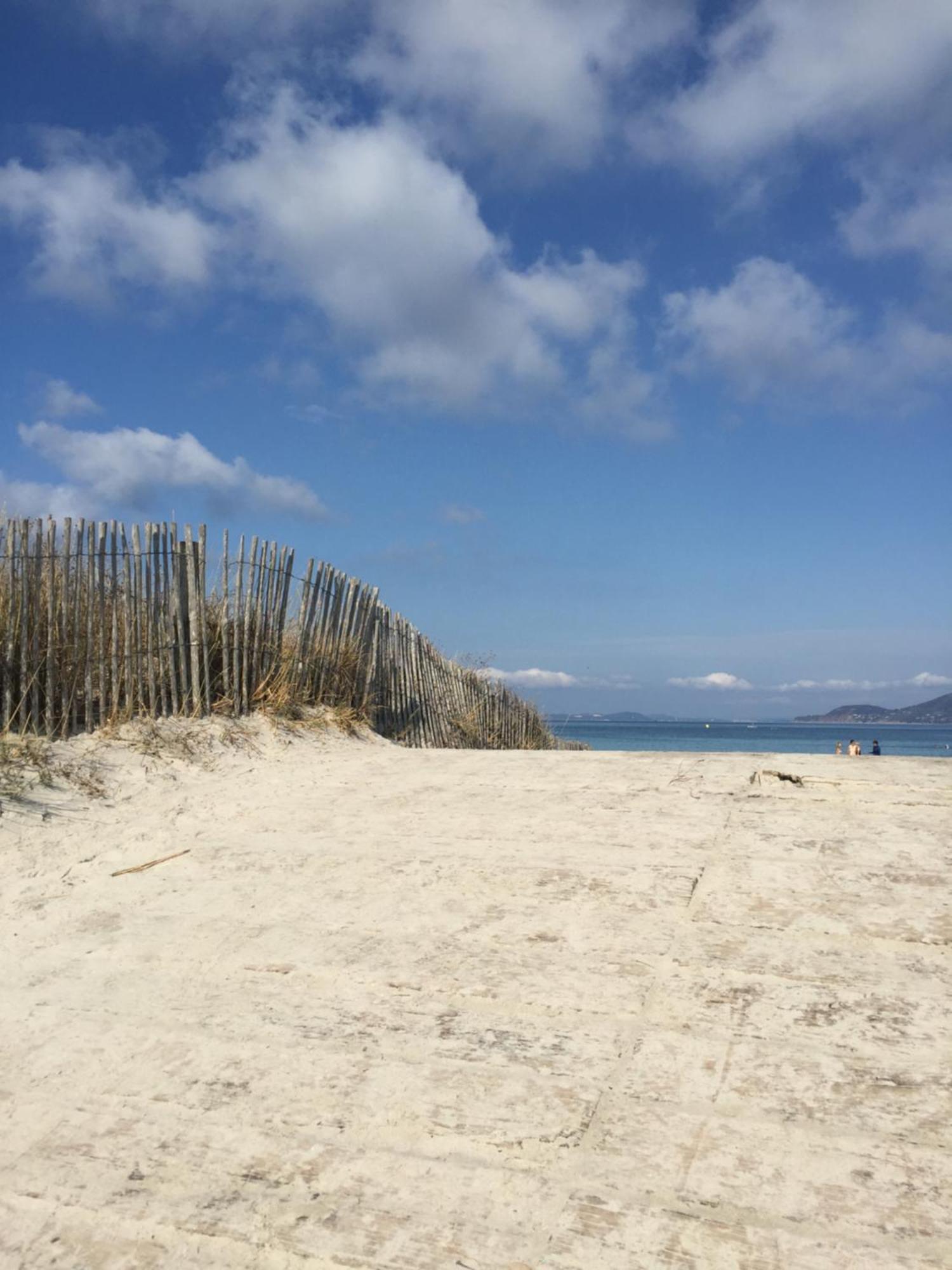 Appartement Les Cigales Rez De Jardin A 10Mn Des Plus Belles Plages Hyères Extérieur photo