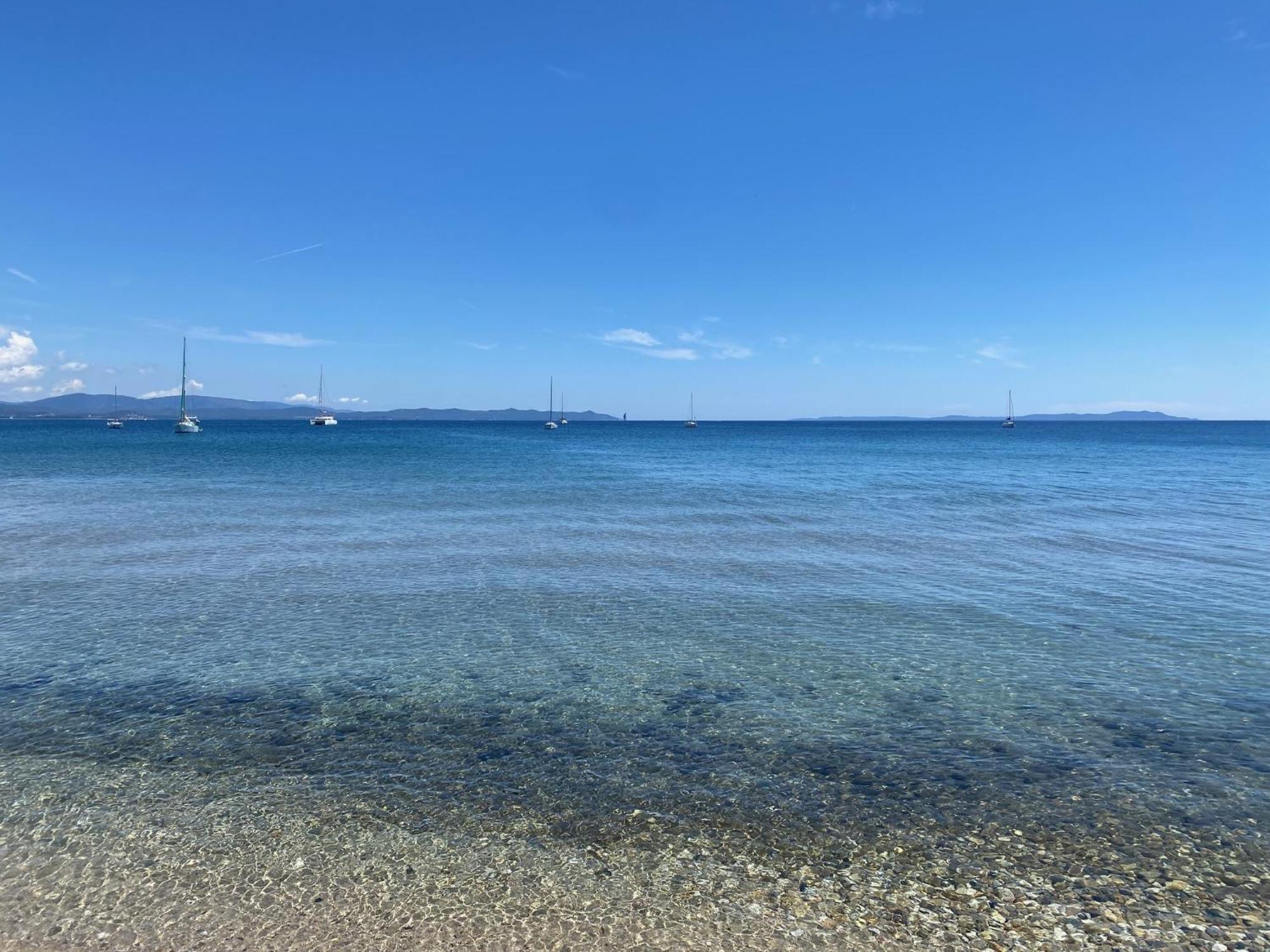 Appartement Les Cigales Rez De Jardin A 10Mn Des Plus Belles Plages Hyères Extérieur photo